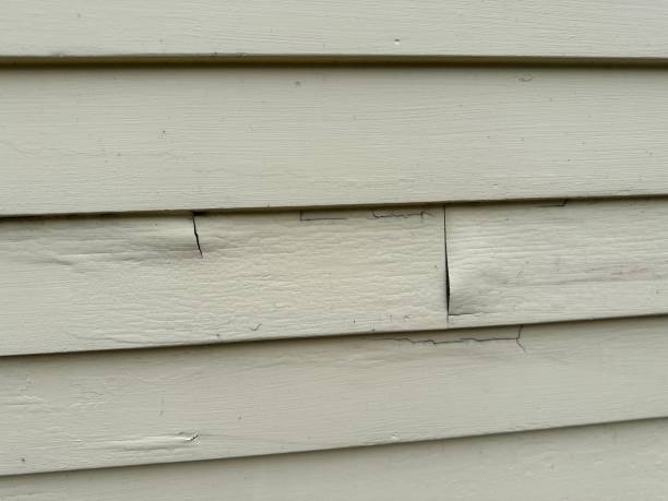 Best Custom Trim and Detailing for Siding  in Butler, OH